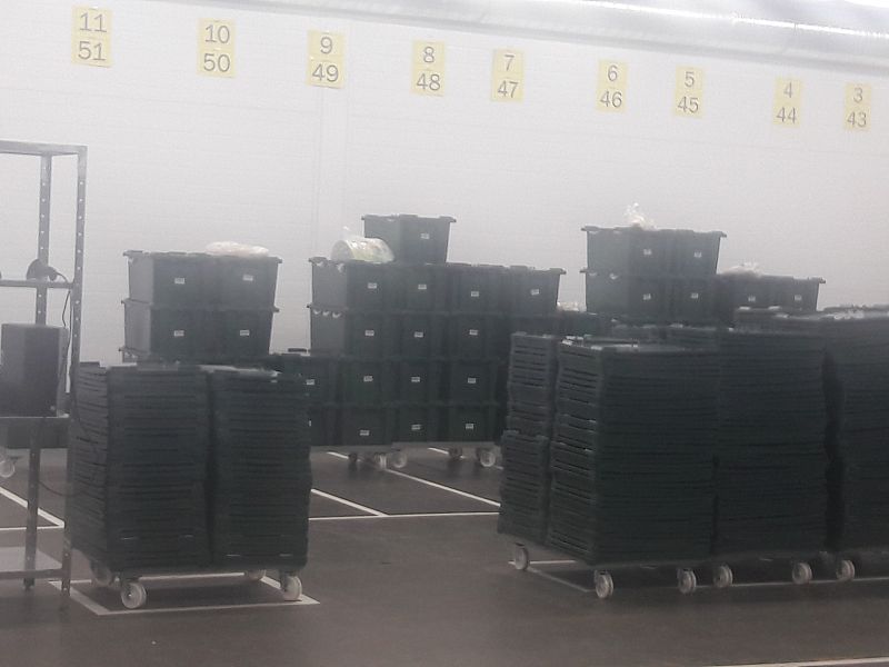 Зеленые ящики, в которые сборщики упаковывают онлайн-заказы для доставки клиенту