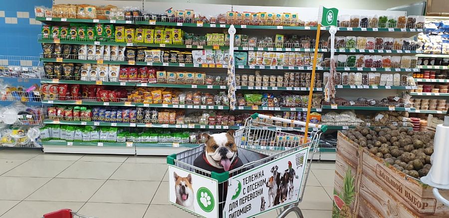 В России начали появляться первые торговые объекты куда пускают посетителей с собаками.