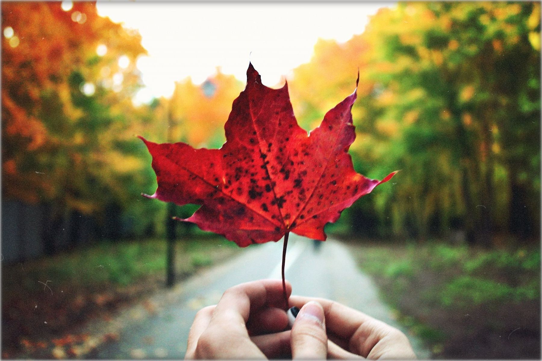 Мнение: Олег Минаев - Осенью начнем жирный для нас сезон